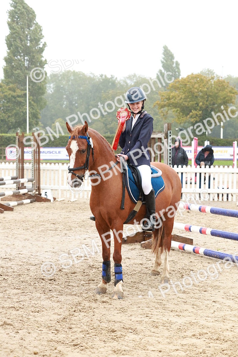 SBM_73464 - Supreme Championship Junior Pony 60cm & 65cm