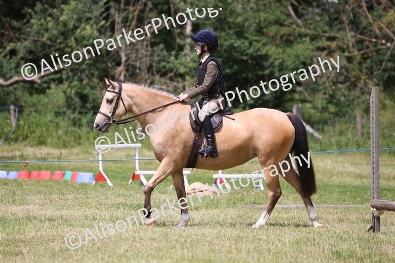 20260614-2128 - Class 21 - Novice Working Hunter Pony