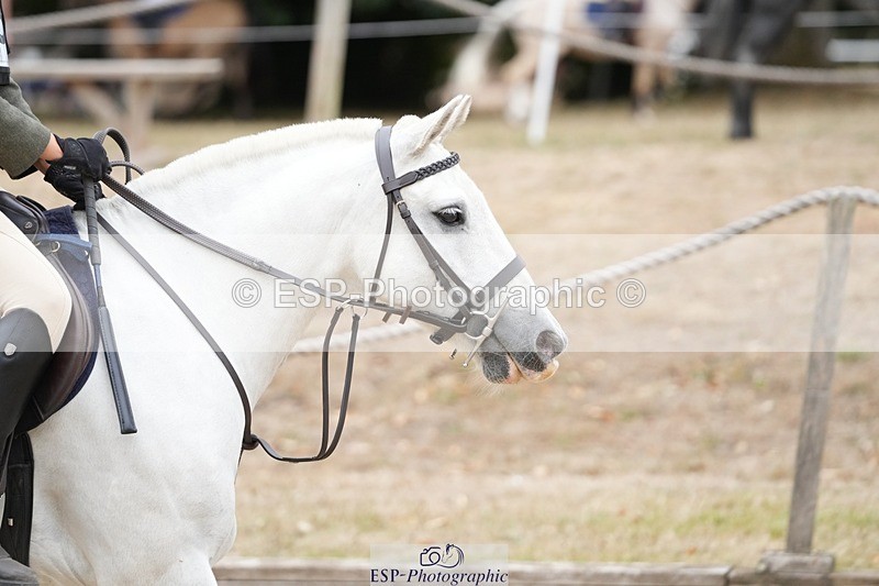 250820A-102747-02346 - Round 2, 9.45 to 10.45 Break