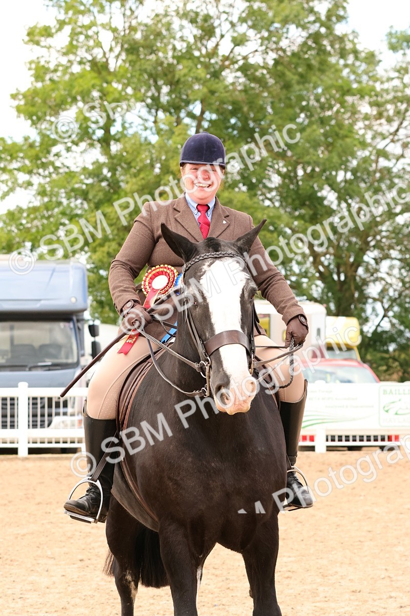SBM_15589 - Class 214 - Ridden Show Cob