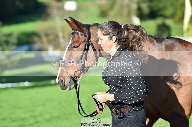 231022-101522-22351 - 470-DVΓÇÖS.ROCKY-Lauren.Collard-TrotUp+SJ