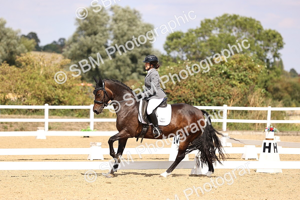 SBM_015025 - Class 6 - Elementary 5