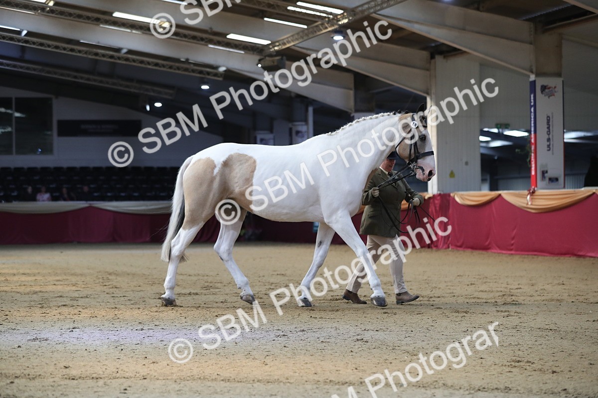SBM_01414 - Class 3a Area IH Pre Vet