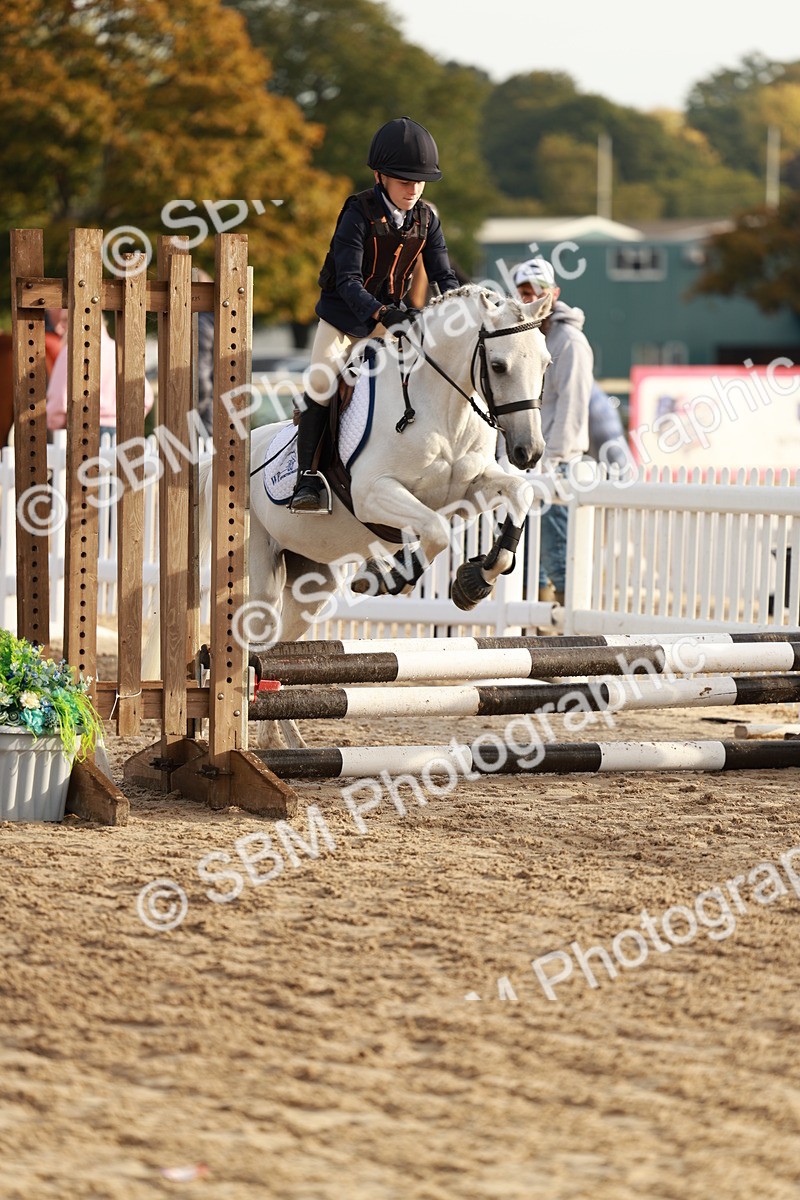 SBM_55491 - J11 - Junior Pony 50cm Championship