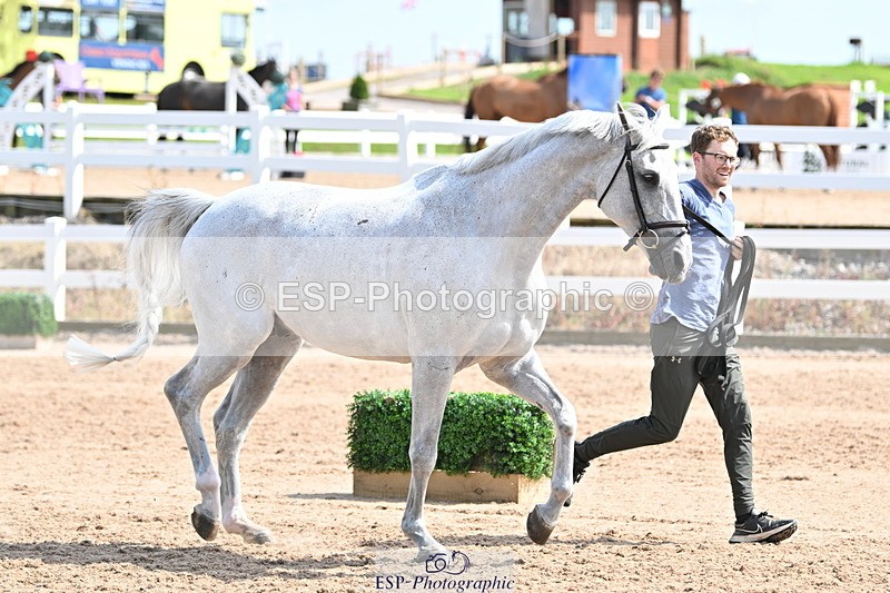 240717A-153901-02944 - Trot Up 3pm to 4pm