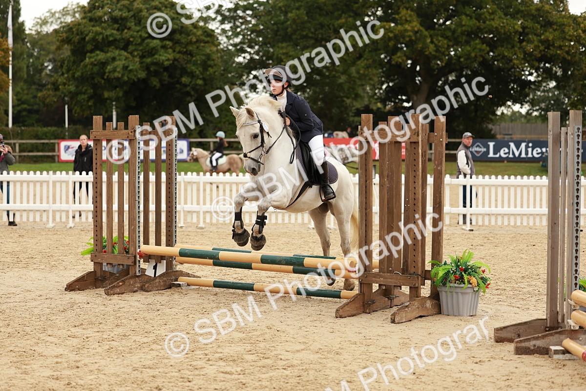 SBM_57891 - J11 - Junior Pony 50cm Championship
