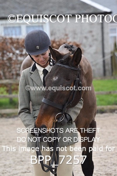 BPP_7257 - RING 1  (RIDDEN HORSES / IN HAND / VETERAN ETC)
