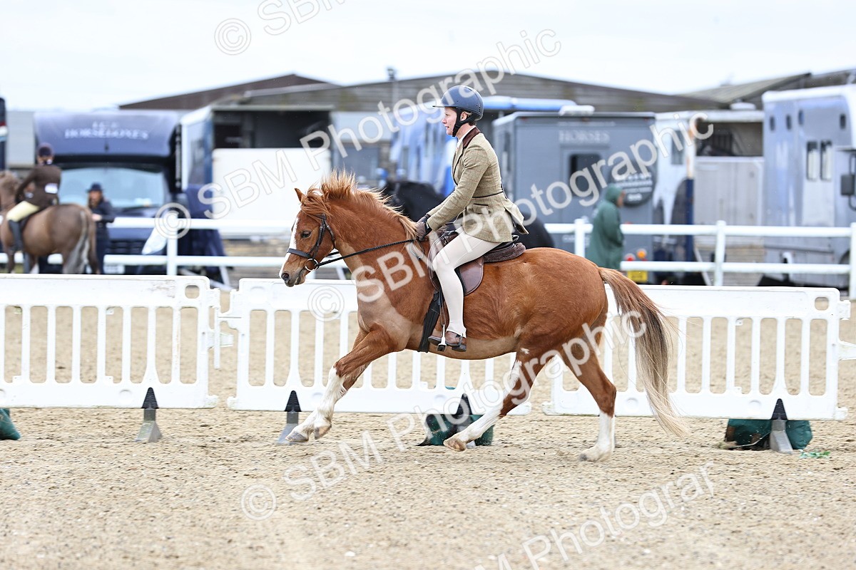 SBM_006821 - Class 29 - 30 - M&M Pure Novice Small-Large Breeds