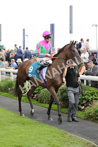 yr19082022r5-5 - Race 5 4.10pm Assured Data Protection EBF Fillies' Stakes