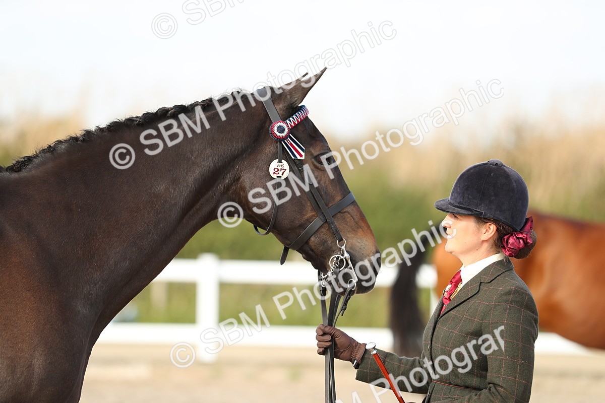 SBM_08644 - Class 28 - IH Veteran Horse