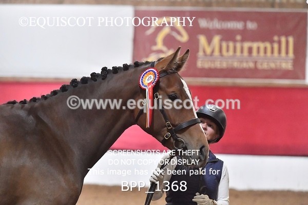 BPP_1368 - MORNING 9AM - 12PM