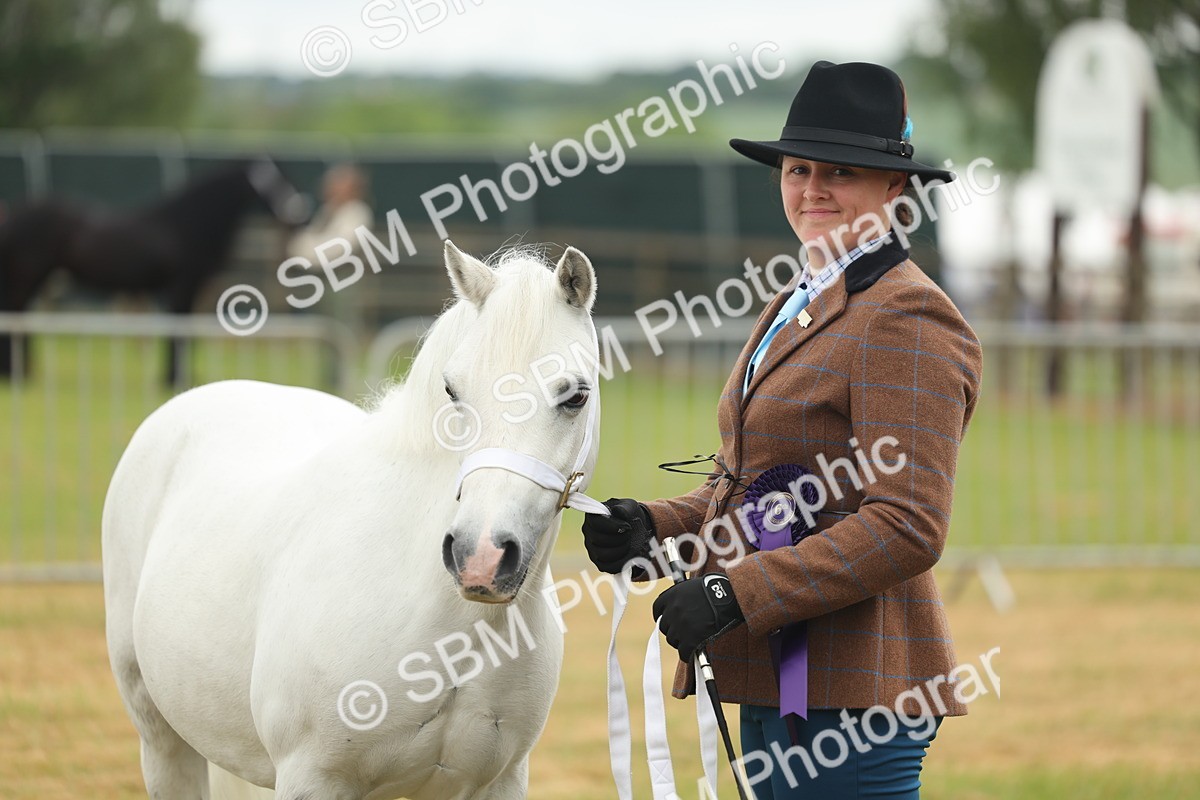 SBM_01649 - Class 50-57 - M&M Welsh Pony In Hand