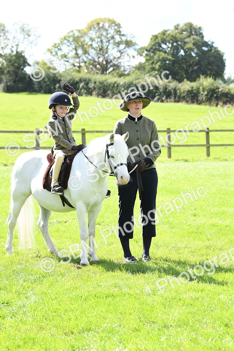 SBM_42603 - S20 - Lead Rein Mountain & Moorland Pony