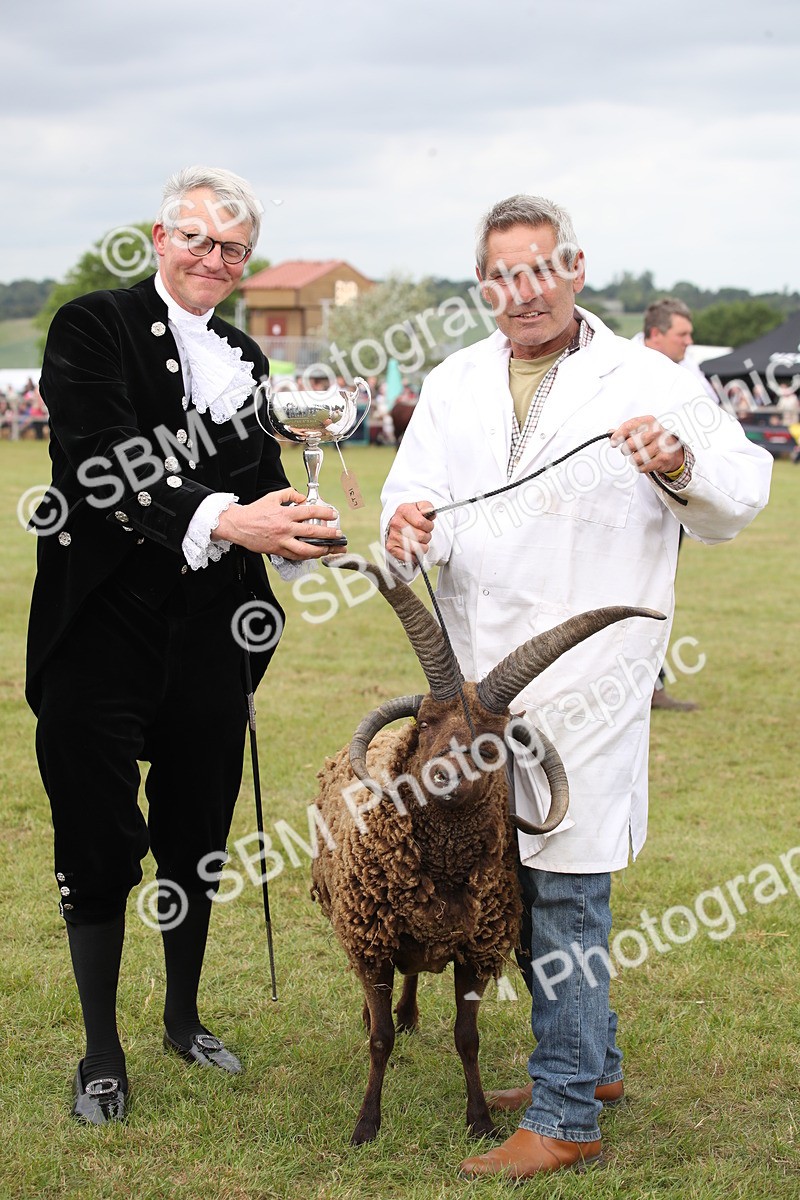 SBM_07891 - Grand Parade