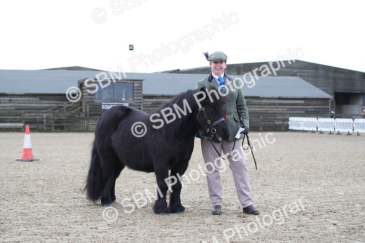 SBM_003898 - Class 1-4 - Young Stock classes Inc. In Hand Championship