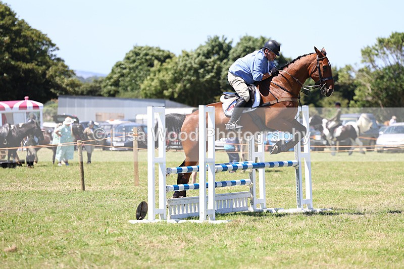 3E7A5555 - Class 9: Senior British Novice/90cm open