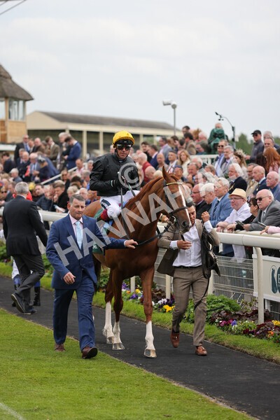 yr13052022r4-24 - Race 4 3.35pm The Paddy Power Yorkshire Cup (British Champions Series Race)