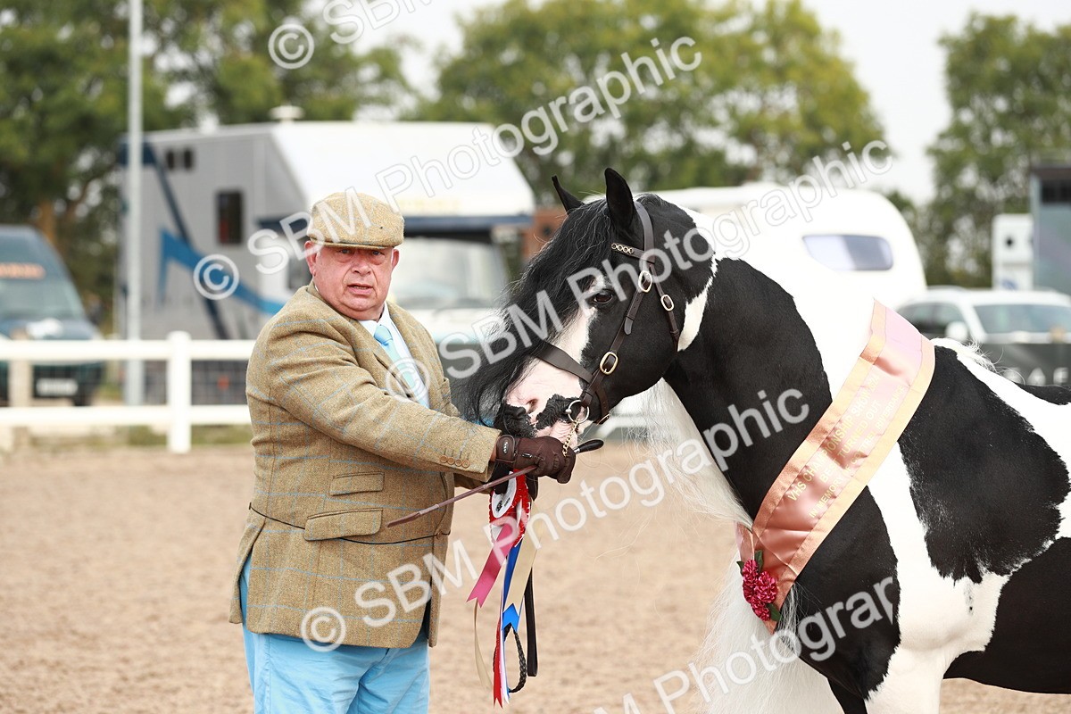 SBM_09587 - Class 201 Best Turned Out IH