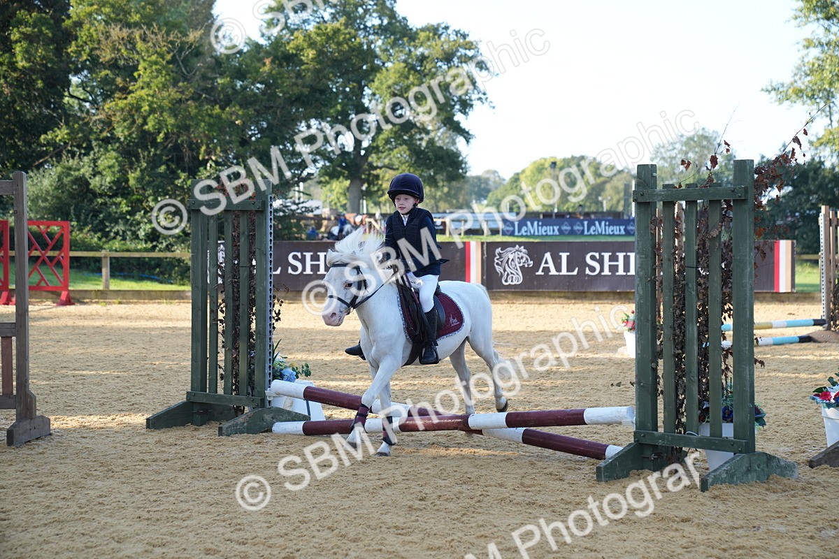 SBM_59059 - J63 - Minis Clear Round 30cm 40cm