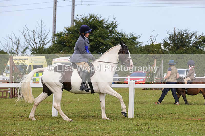1X9A3100 - Class 26: Ridden Plaited Coloured Pony