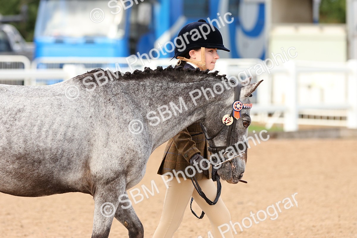 SBM_09205 - Class 204 - Young Handler