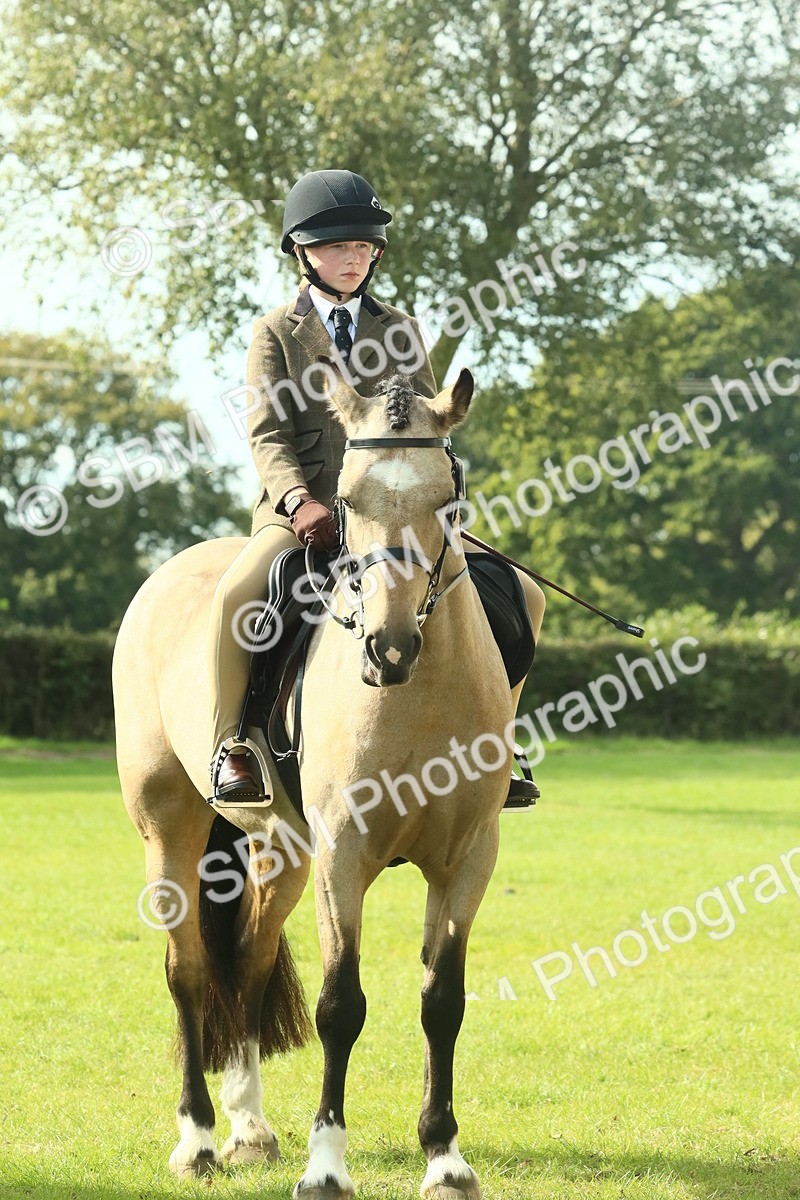SBM_68944 - S58 - Mini Show Cob Ridden