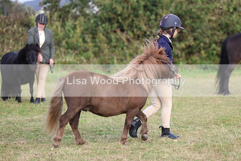 3E7A3298 - Class 12: M & M Small Breeds