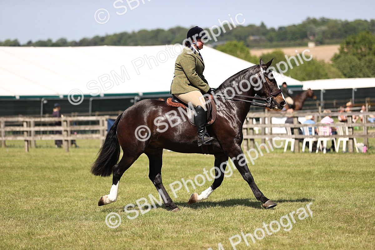 SBM_17923 - Class 81-83 - TSR Ridden Amateur of the Year - Horses