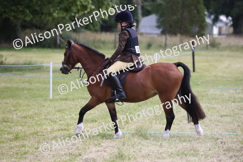 20260614-2106 - Class 21 - Novice Working Hunter Pony