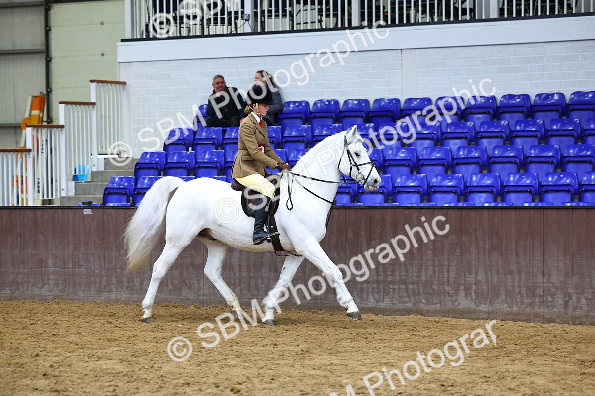 SBM_005580 - M&M Novice WHP Championship