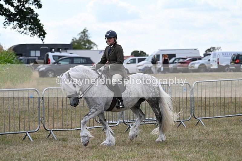 WJ7_4938 - Class 12 Ridden Cob