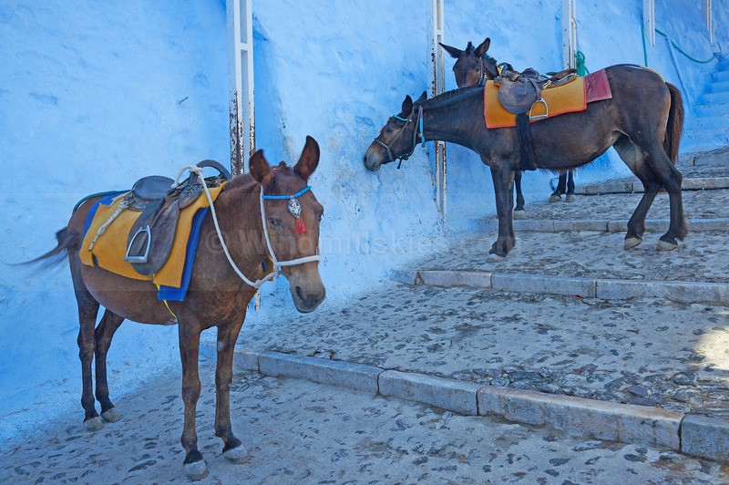 0822_27 - Santorini