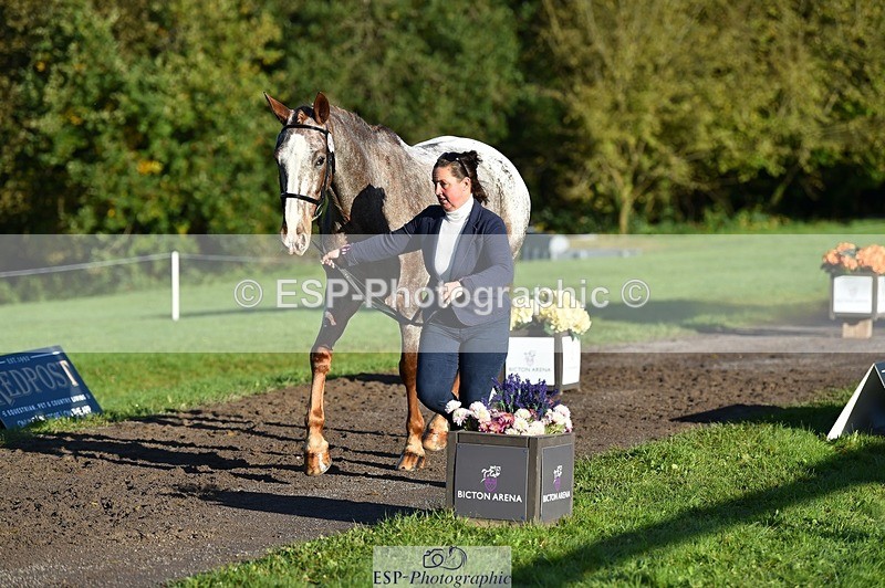 231022-093626-21908 - 412-KELTEK.LUDO-Tracey.Neville-TrotUp+SJ