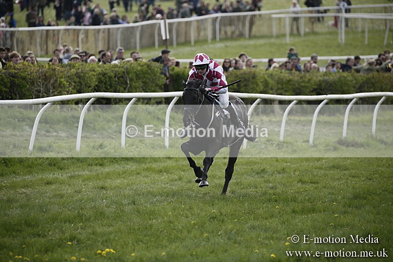 PtP 170417 347 - Old Berks Point-to-Point Lockinge 17/04/17
