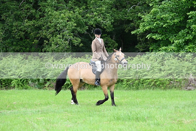 WJ7_2565 - Class 12A Coloured Class