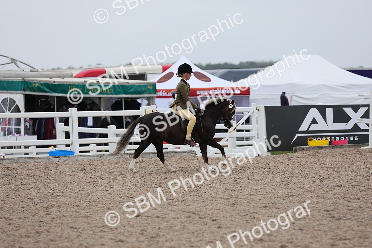 SBM_18120 - Class 316 Best Pony/Rider Combination