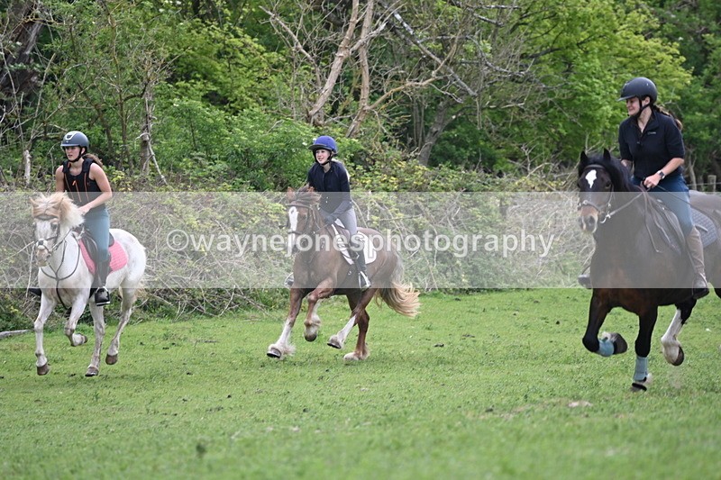 WJ6_3292 - A camera