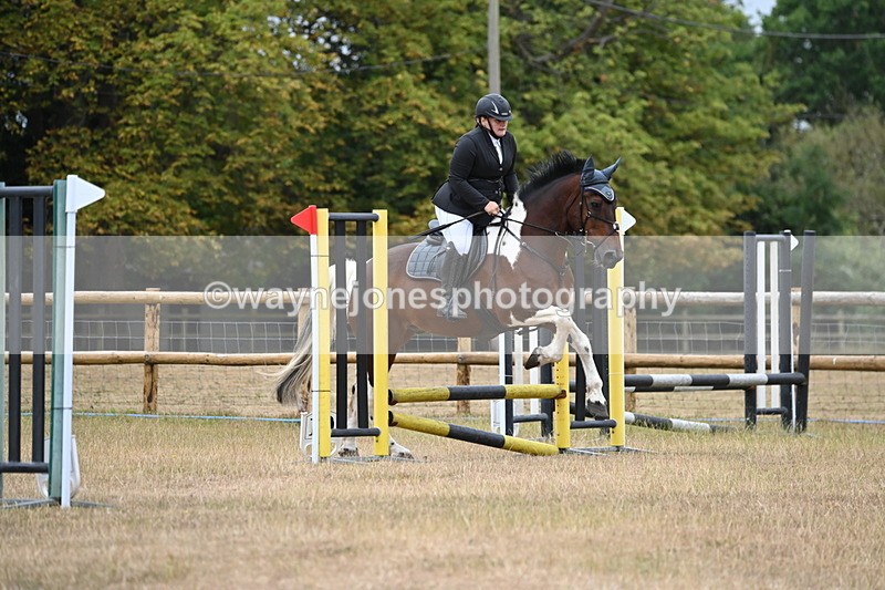 WJ6_0080 - Class 13 Novice Jumping 60cm