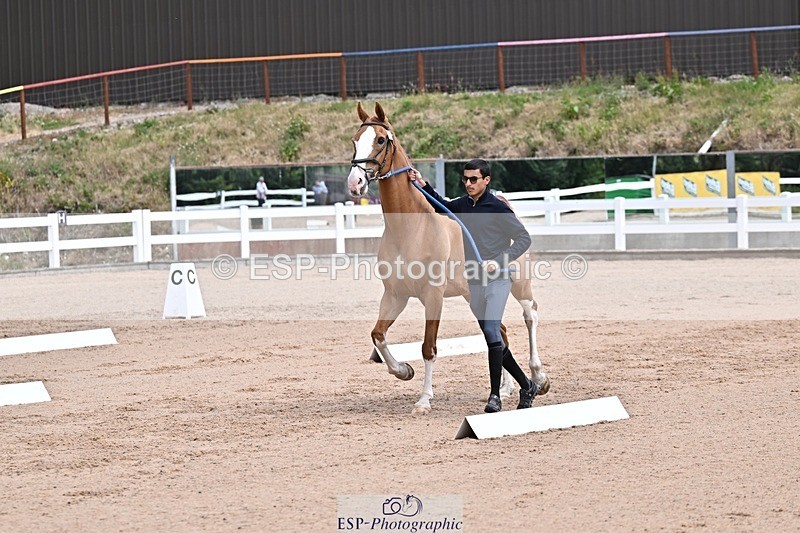 250716-130217-00272 - Trot Up 12.30 to 1.30