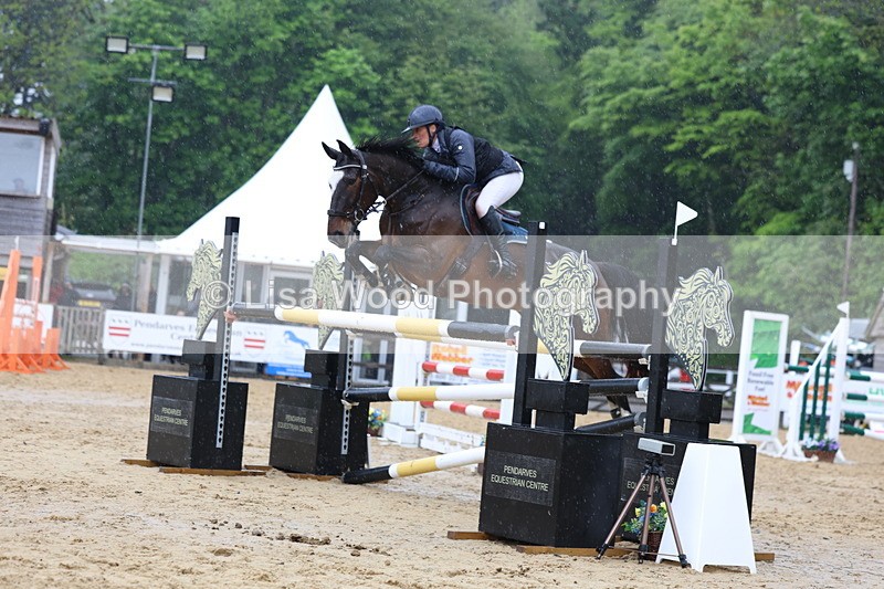 3E7A7447 - Class 8: Senior Foxhunter/1.20 open
