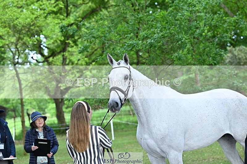 250521A-170320-01494 - C-283-Laura.Collett-COOLEY.ICEAGE