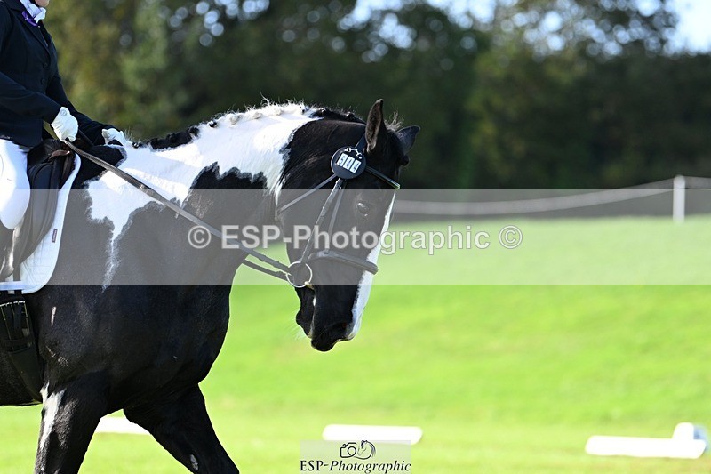 241025-111032-07081 - 544-Natasha.Crapper-KILCORBAN.MY.FAIR.LADY