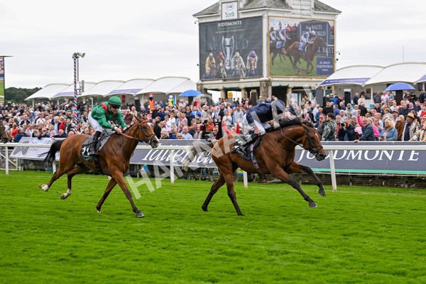 210824-Race 4-City Of Troy-5132 - Race 4 3.35pm Juddmonte International Stakes