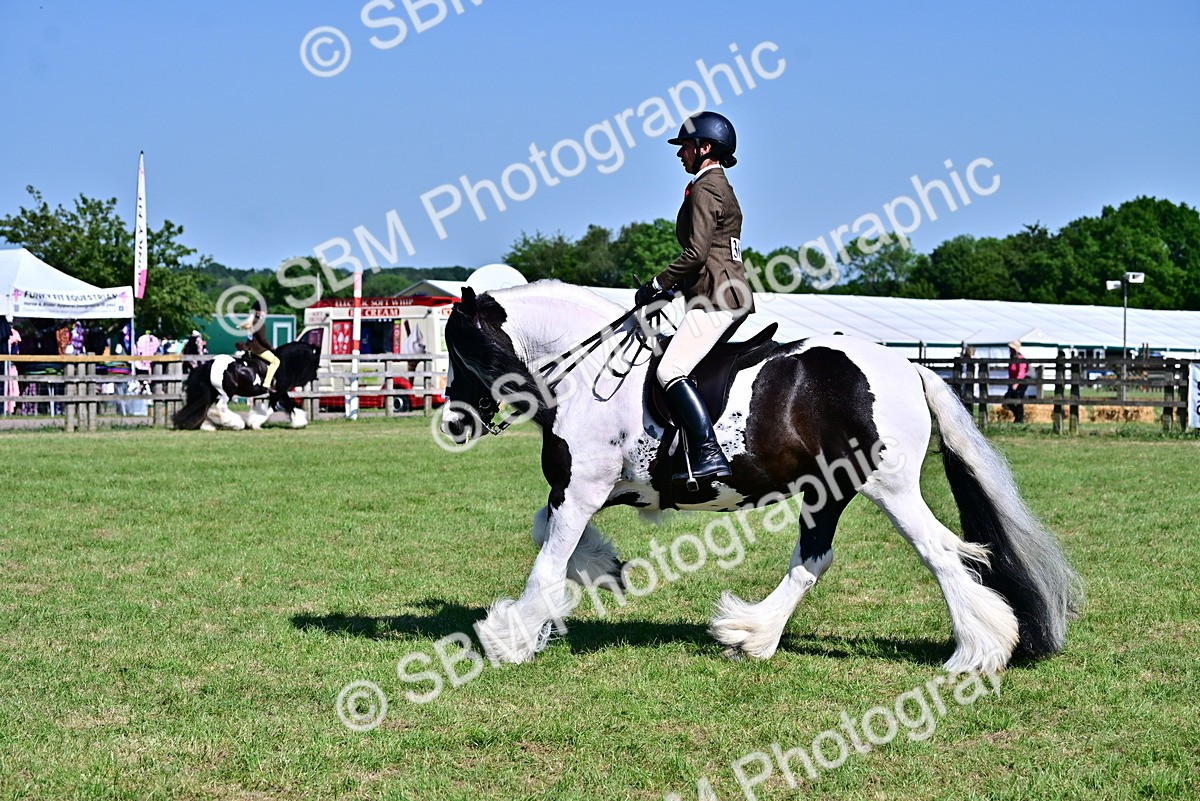 SBM_19369 - Class 101-102 - BSPS LIHS Performance Coloured Horse/Pony
