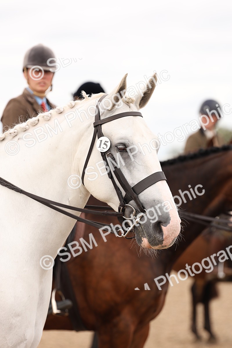 SBM_17266 - Class 213 - Ridden Hunter - Large