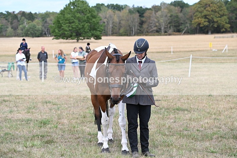 WJ6_6317 - Class 19 In-hand Veterans (Uploaded correct folder)