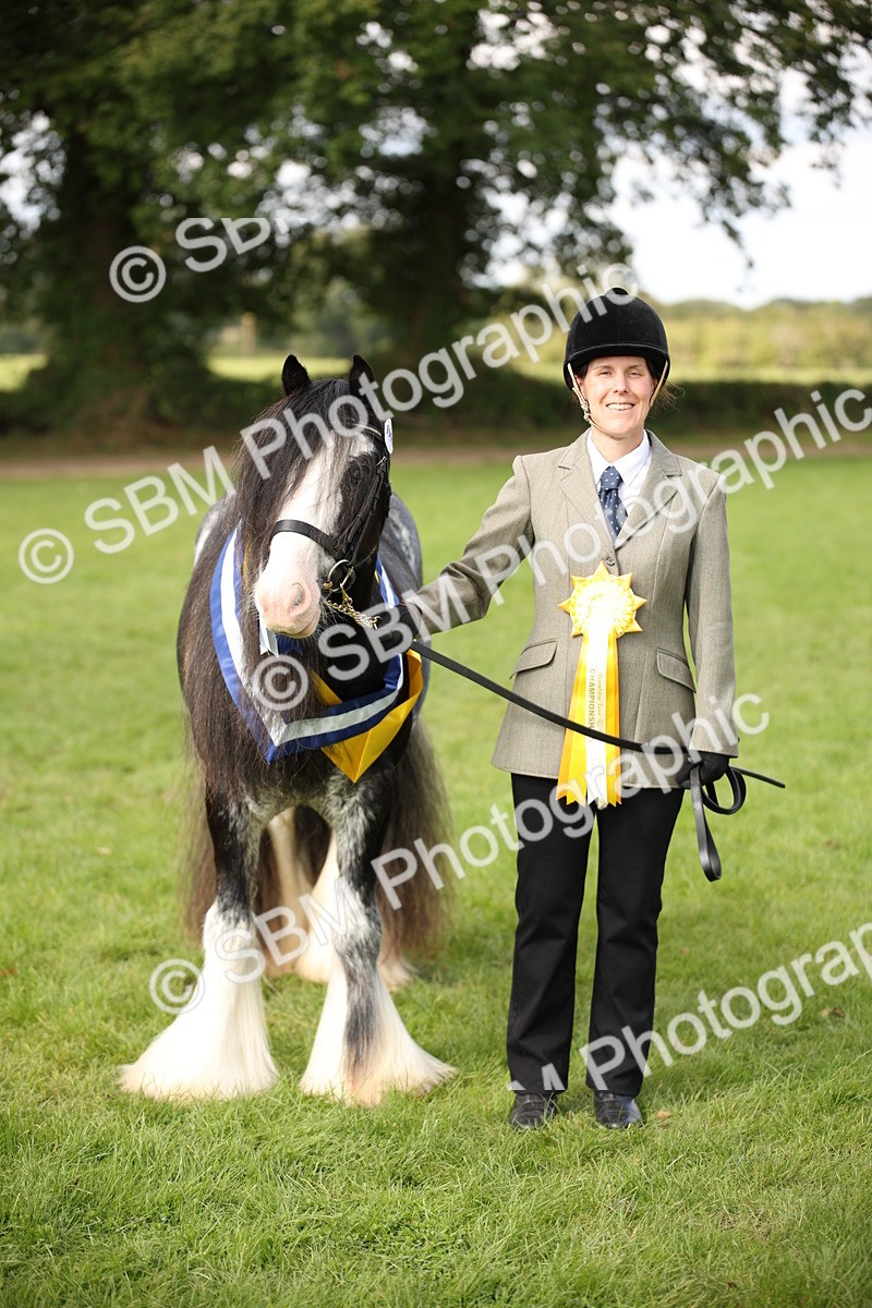 SBM_62960 - In Hand Horse Supreme Championship
