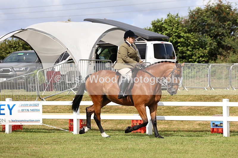 3E7A9292 - Class 4: Rising Star M/H Hunter