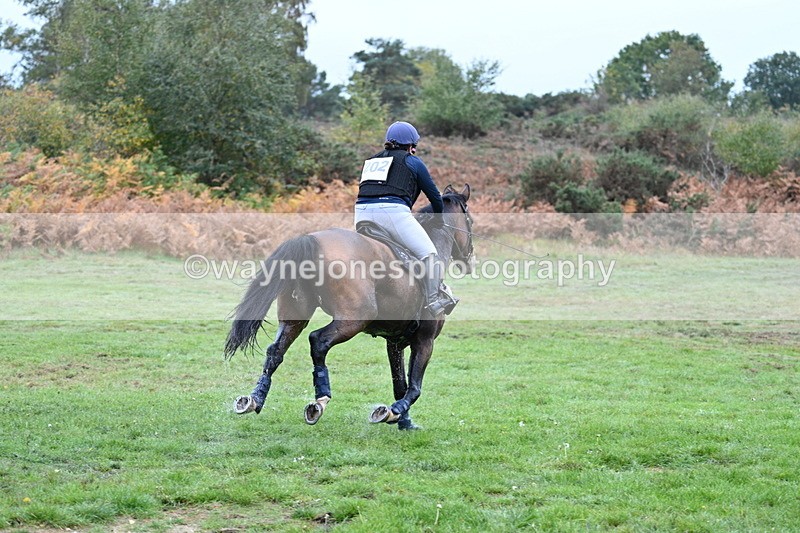 WJ7_5104 - Time 12:34 to 12:48