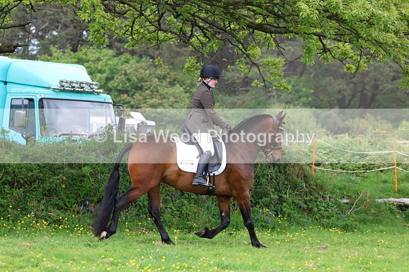 3E7A1739 - Class 9: Riding Club Horse/Pony